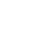 flash icon